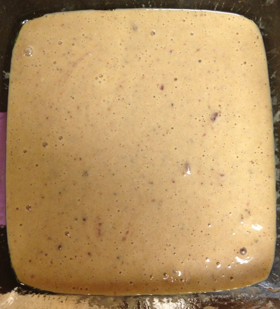 PB & J Protein Bars Skinny Minnie Moves